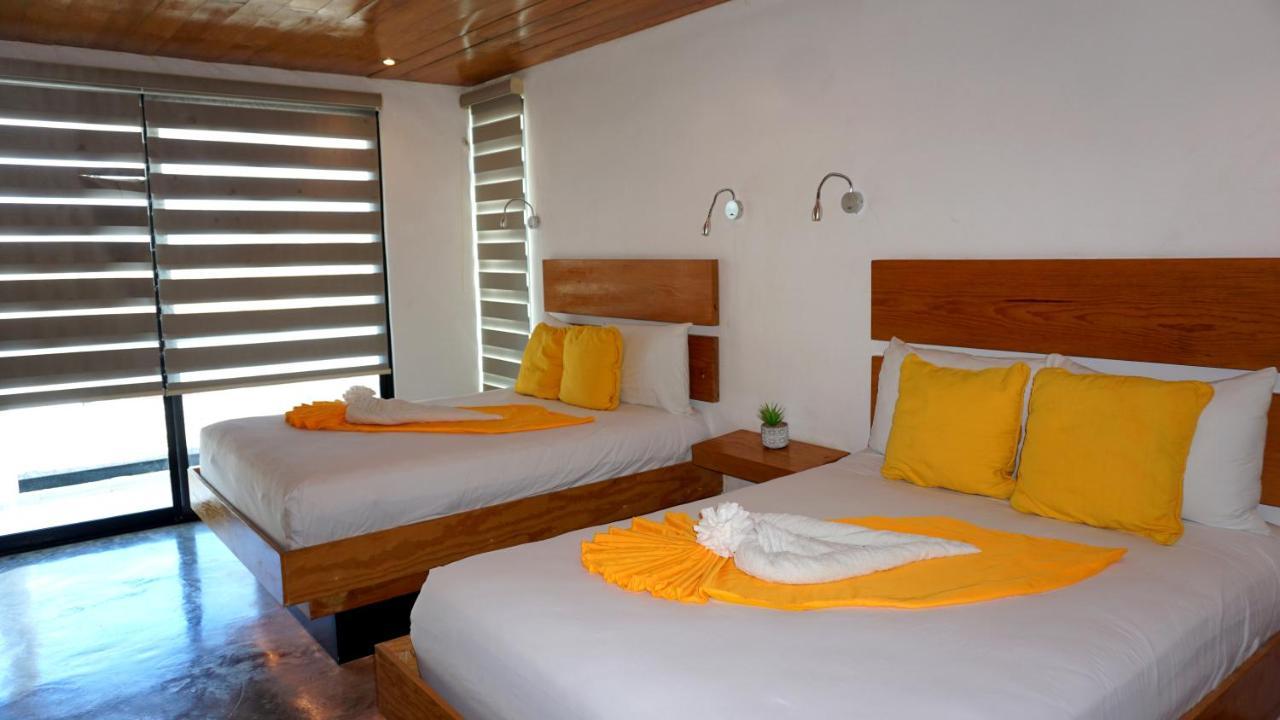 Casa Ticul Hotel Boutique - 5Th Ave (Adults Only) Playa del Carmen Bagian luar foto Deluxe Room